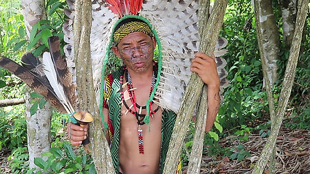 Ayahuasca - A sacred rainforest medicine